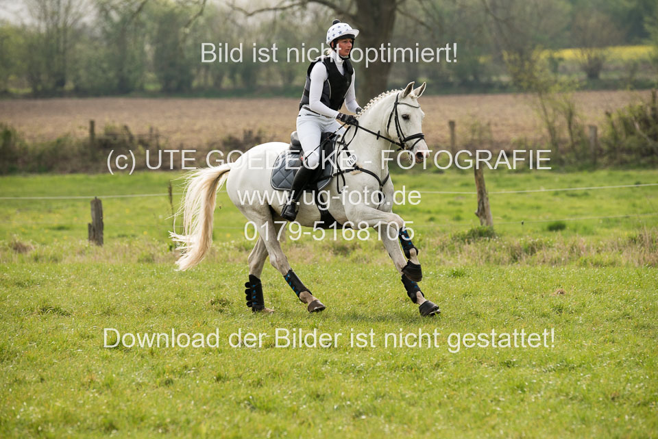 24042019--Springpferde-A-_147.jpg