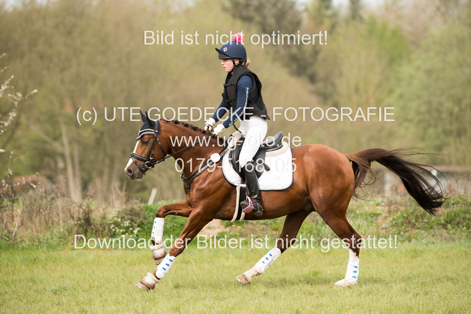 24042019--Springpferde-A-_151.jpg