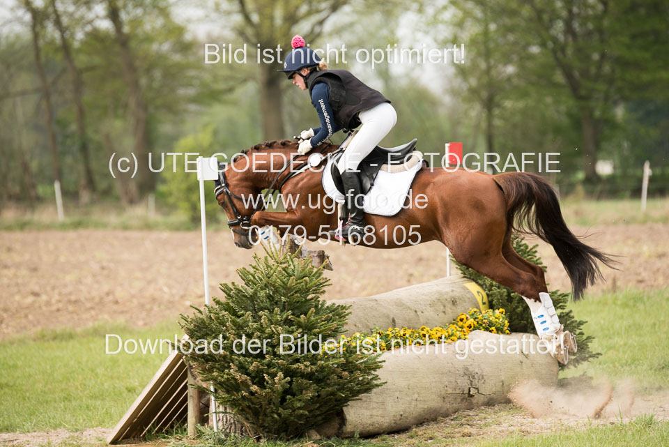 24042019--Springpferde-A-_153.jpg