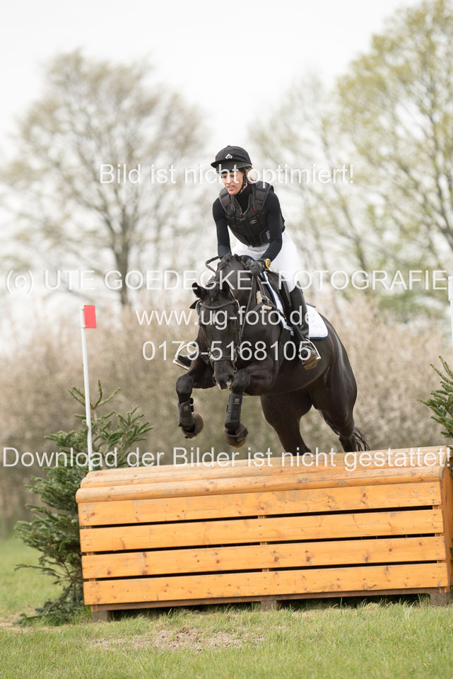 24042019--Springpferde-A-_177.jpg