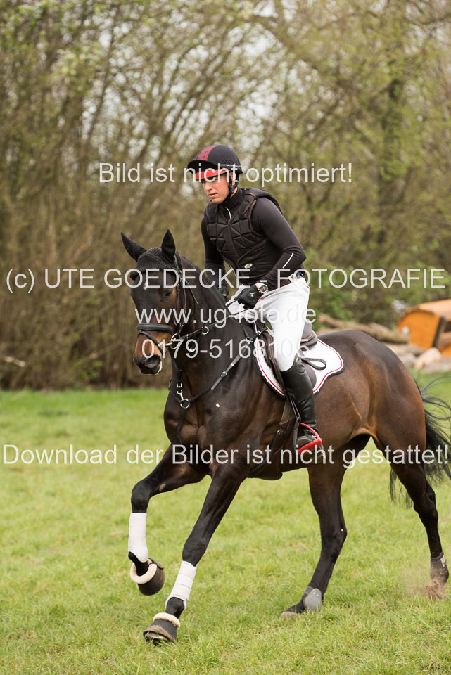 24042019--Springpferde-A-_185.jpg