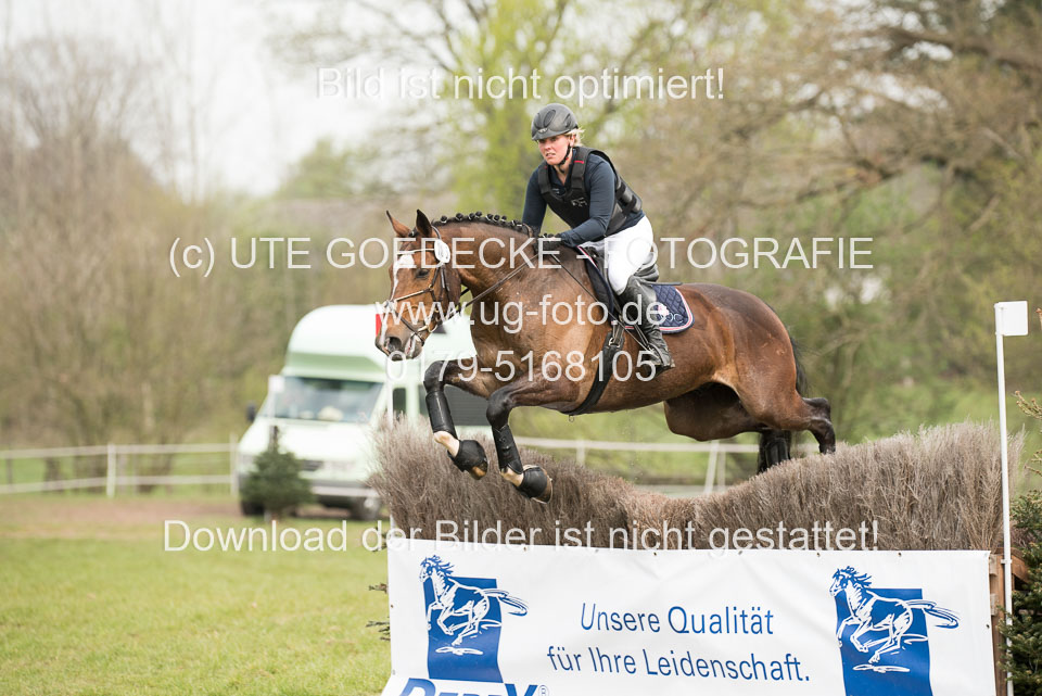 24042019--Springpferde-A-_199.jpg