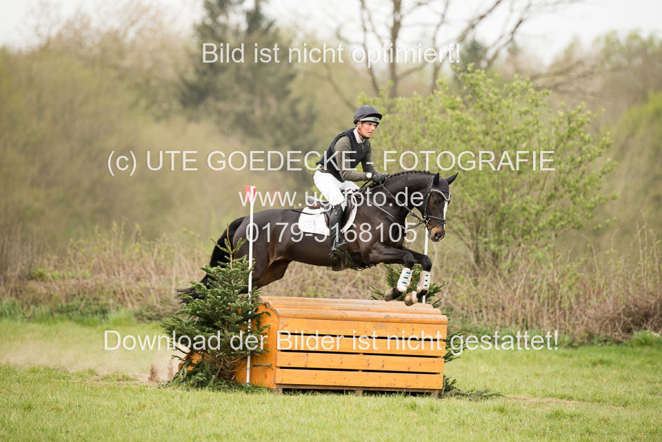 24042019--Springpferde-A-_201.jpg