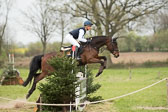 24042019--Springpferde-A-_019.jpg