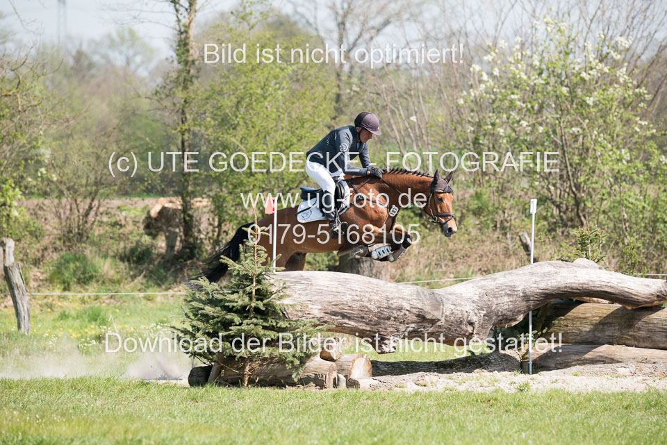 24042019--Springpferde-L_002.jpg