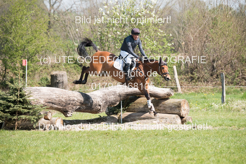 24042019--Springpferde-L_003.jpg