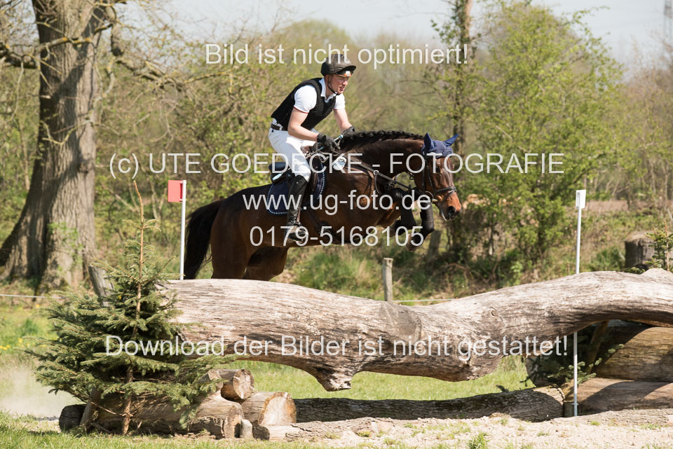 24042019--Springpferde-L_004.jpg