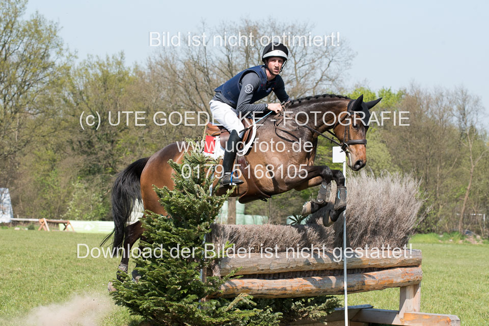 24042019--Springpferde-L_007.jpg