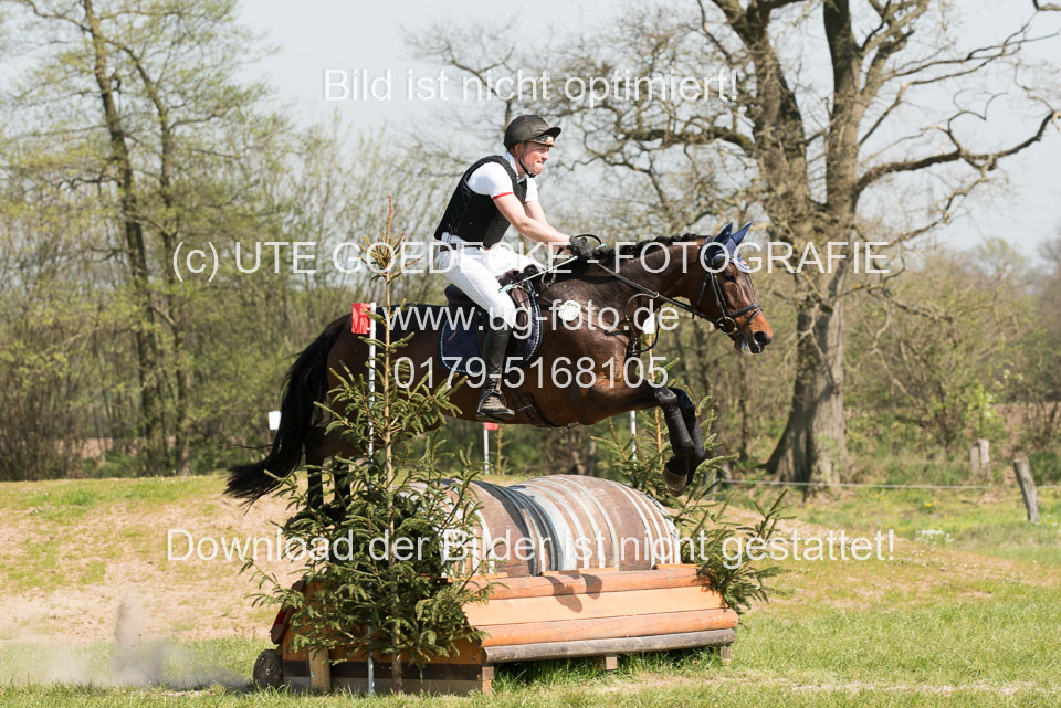 24042019--Springpferde-L_008.jpg