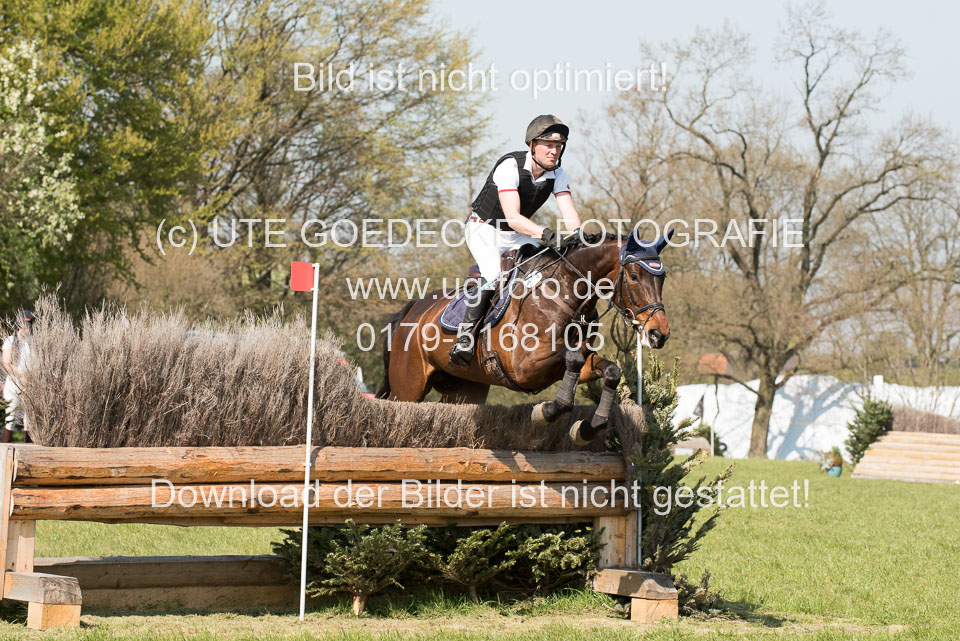 24042019--Springpferde-L_010.jpg