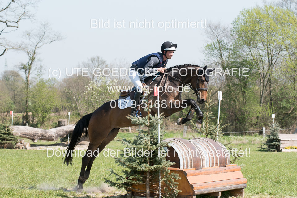 24042019--Springpferde-L_011.jpg