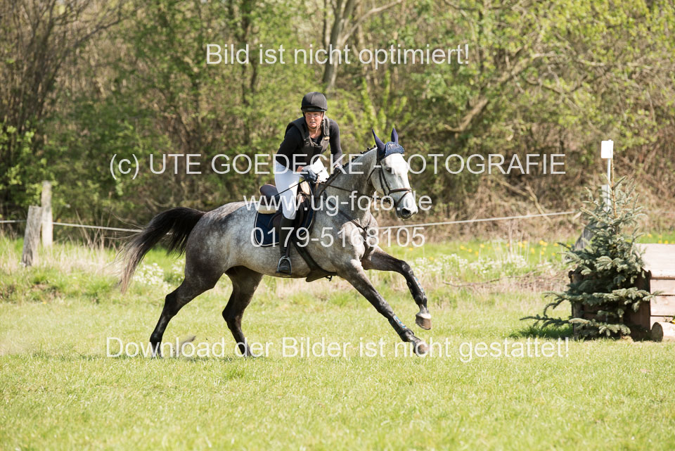 24042019--Springpferde-L_012.jpg