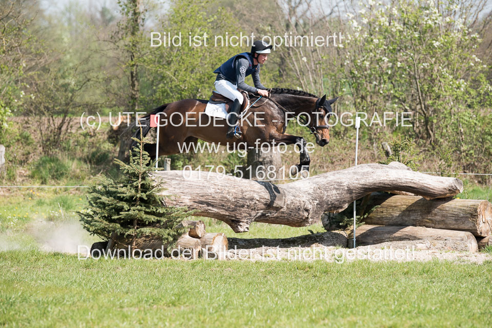 24042019--Springpferde-L_013.jpg