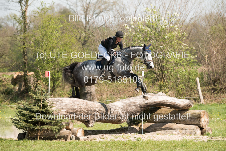 24042019--Springpferde-L_014.jpg