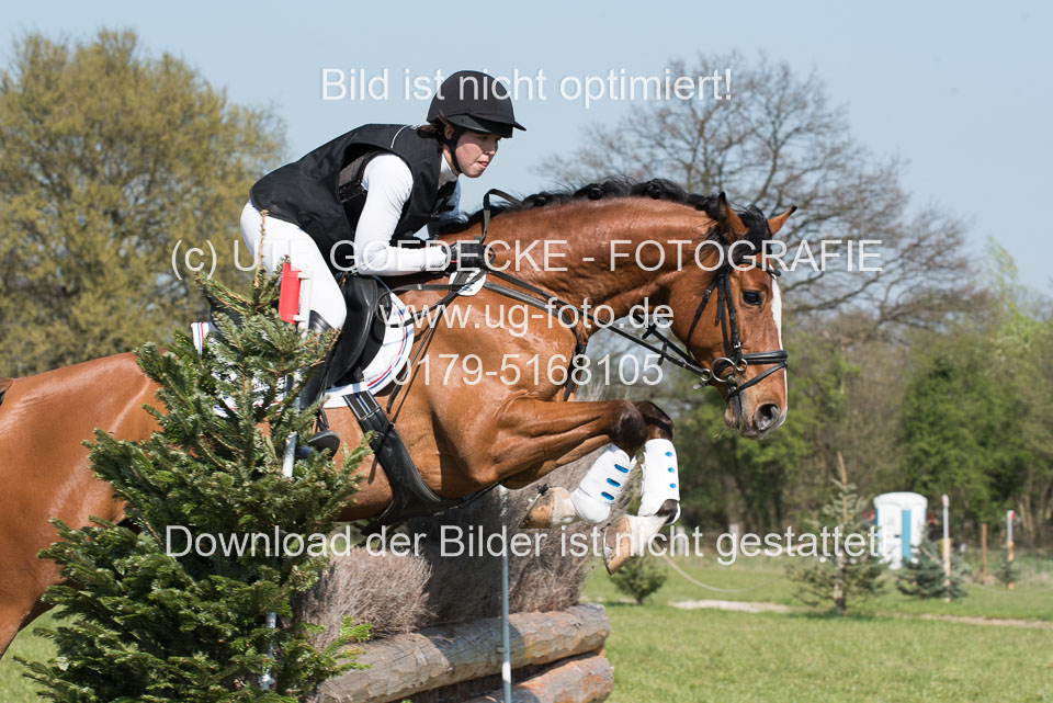 24042019--Springpferde-L_015.jpg