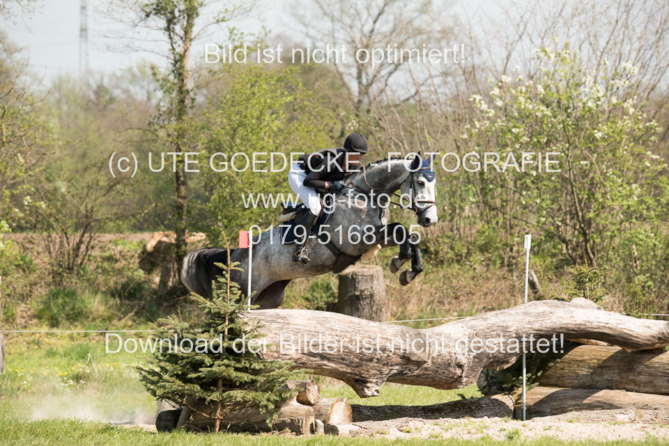 24042019--Springpferde-L_016.jpg