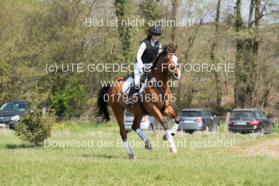 24042019--Springpferde-L_017.jpg