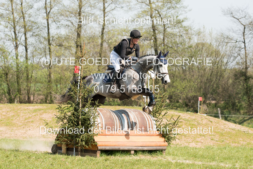 24042019--Springpferde-L_018.jpg