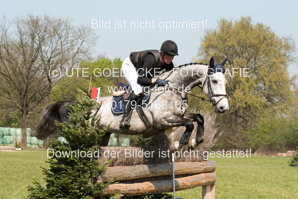 24042019--Springpferde-L_020.jpg