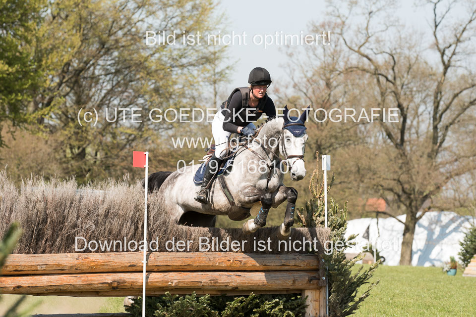 24042019--Springpferde-L_022.jpg