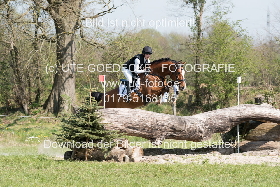 24042019--Springpferde-L_023.jpg