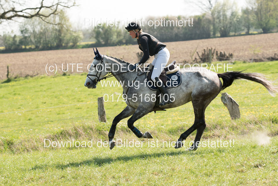 24042019--Springpferde-L_024.jpg