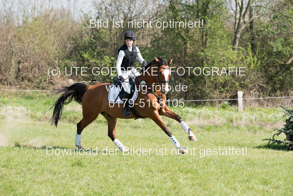 24042019--Springpferde-L_029.jpg