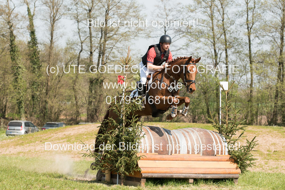 24042019--Springpferde-L_032.jpg