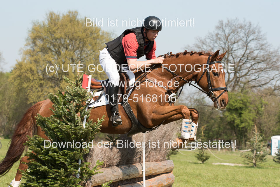 24042019--Springpferde-L_034.jpg