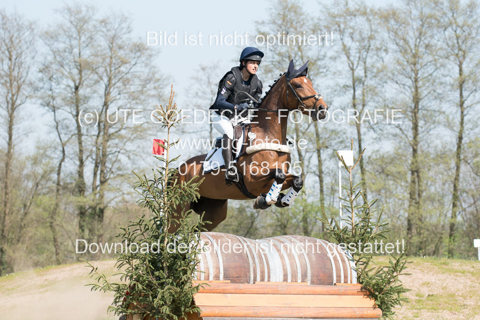 24042019--Springpferde-L_035.jpg