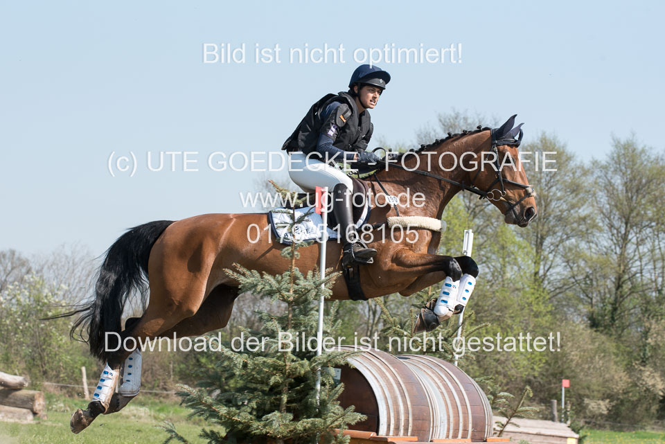 24042019--Springpferde-L_037.jpg