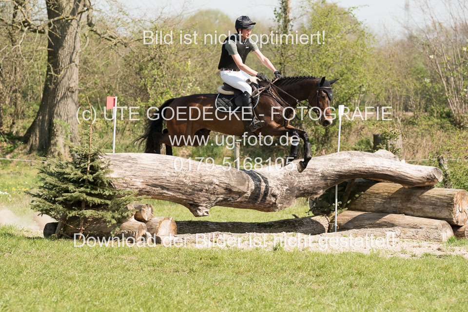 24042019--Springpferde-L_038.jpg