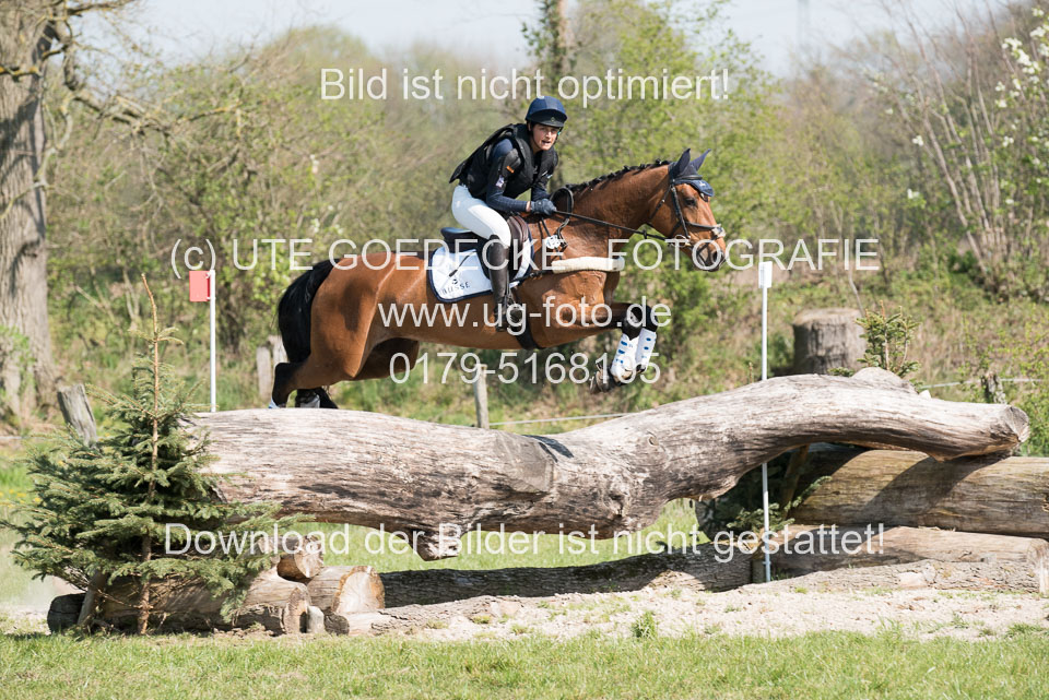 24042019--Springpferde-L_039.jpg