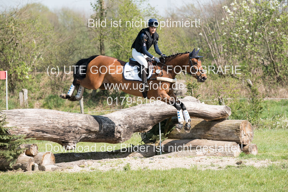 24042019--Springpferde-L_041.jpg