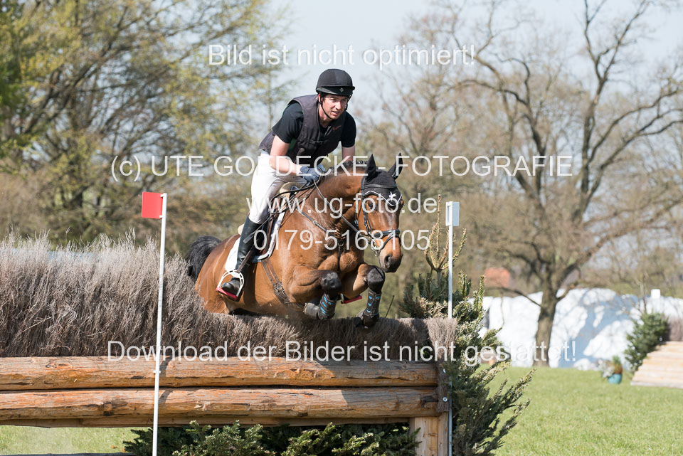 24042019--Springpferde-L_043.jpg