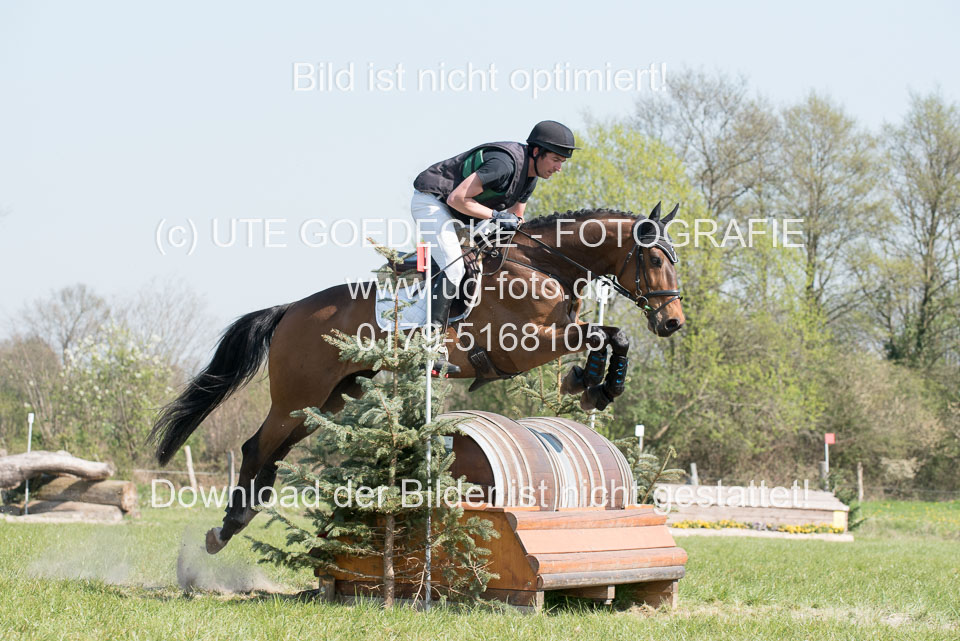 24042019--Springpferde-L_047.jpg