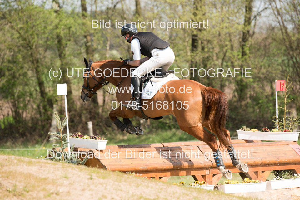 24042019--Springpferde-L_050.jpg