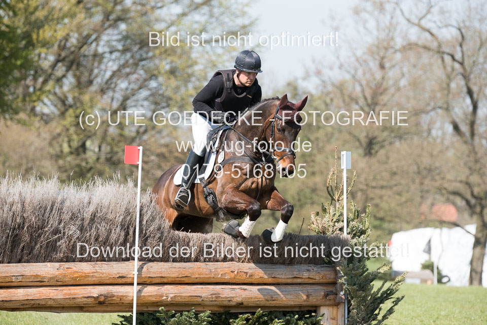 24042019--Springpferde-L_051.jpg