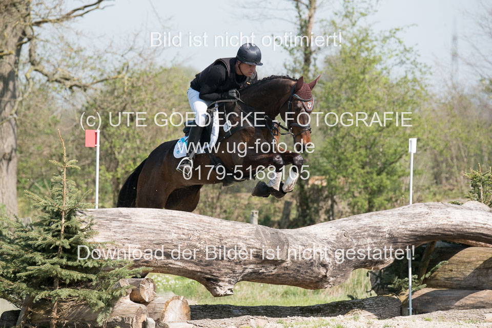 24042019--Springpferde-L_057.jpg