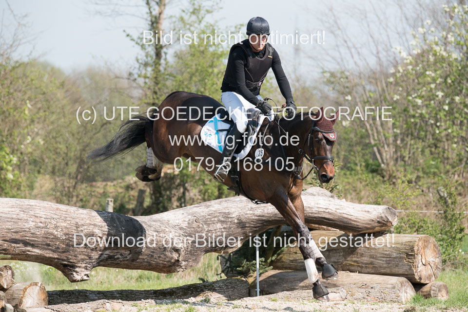 24042019--Springpferde-L_059.jpg