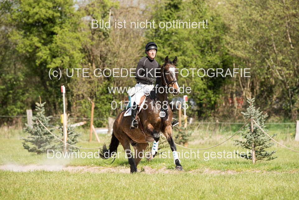 24042019--Springpferde-L_062.jpg