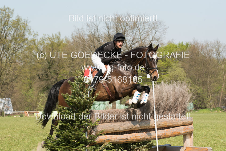 24042019--Springpferde-L_064.jpg