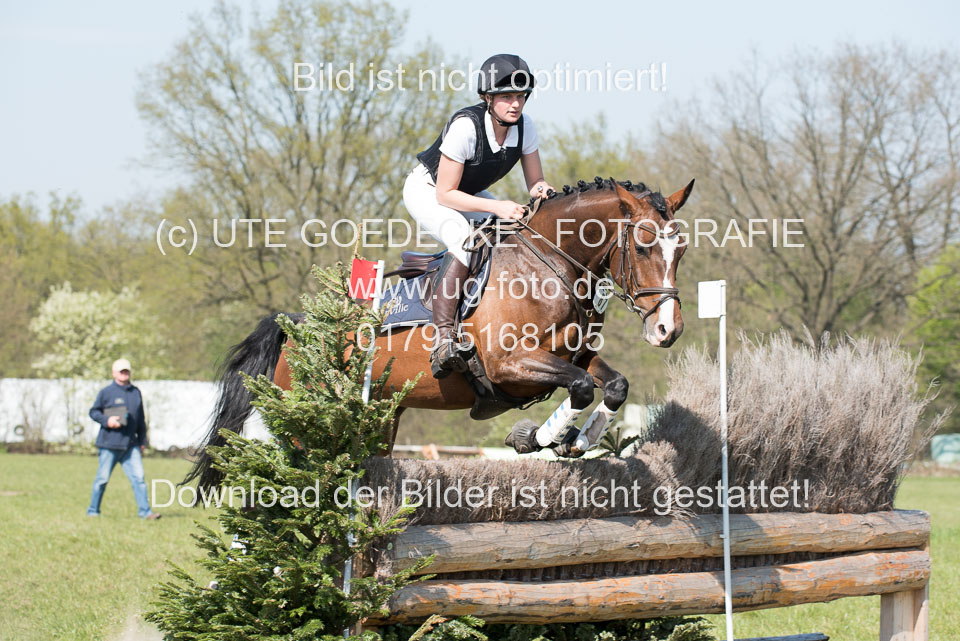 24042019--Springpferde-L_065.jpg