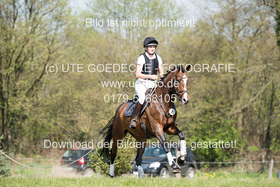 24042019--Springpferde-L_067.jpg