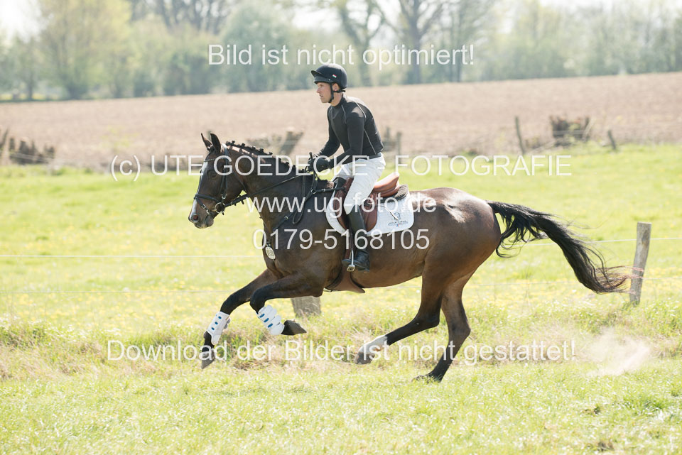 24042019--Springpferde-L_070.jpg