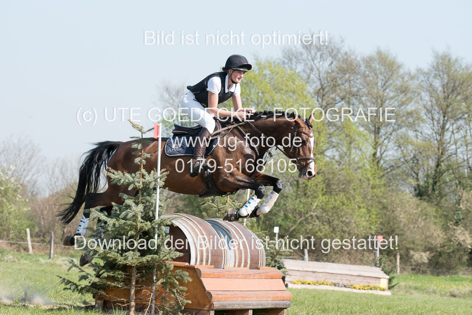 24042019--Springpferde-L_071.jpg