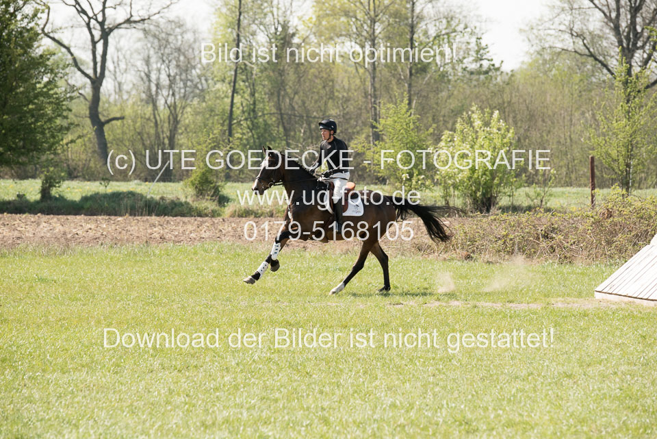 24042019--Springpferde-L_072.jpg