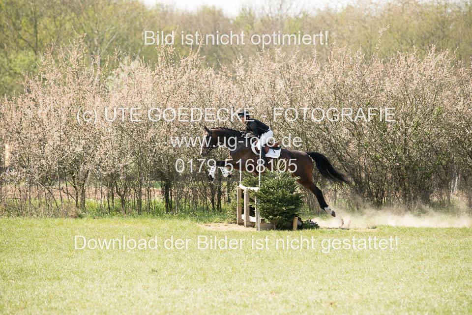 24042019--Springpferde-L_074.jpg