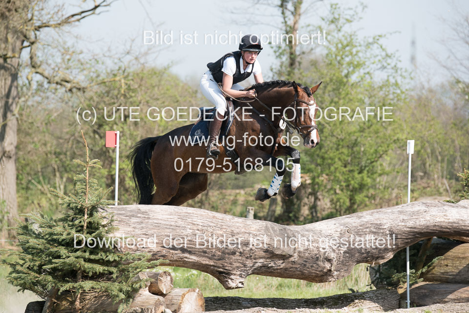 24042019--Springpferde-L_075.jpg