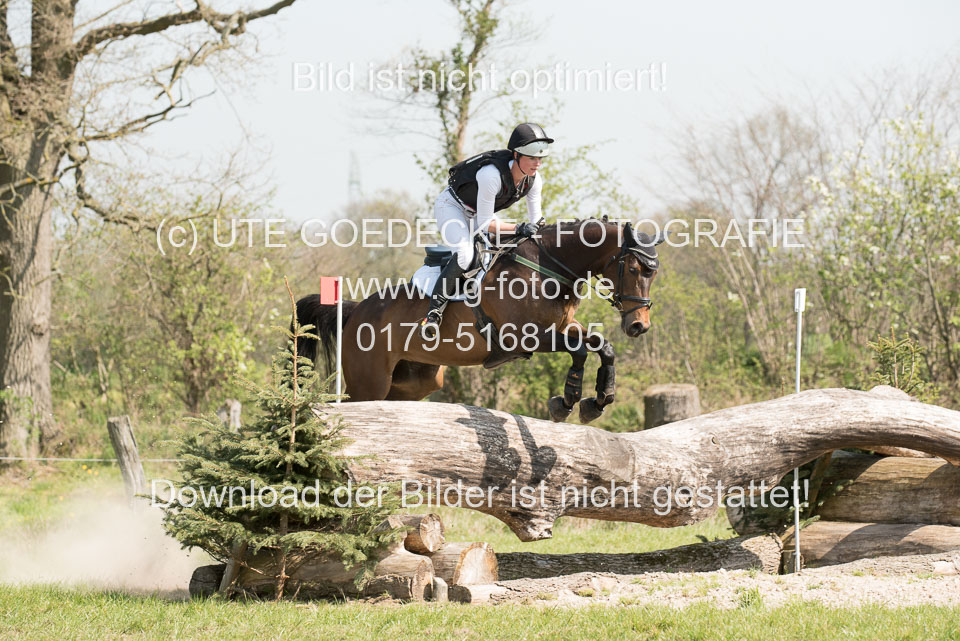 24042019--Springpferde-L_078.jpg